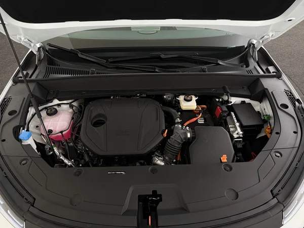 GEELY Starray EM-i (2026) — foto 6 van 29