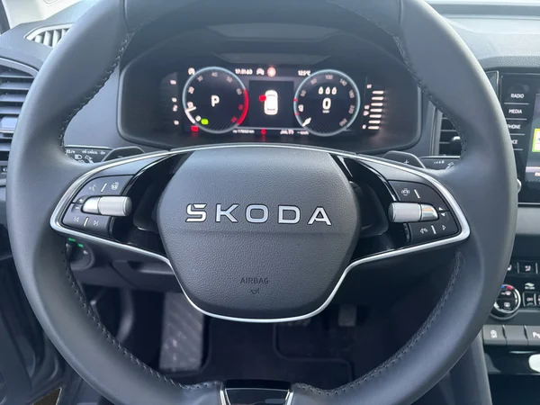 SKODA Karoq (2025) — foto 14 van 23