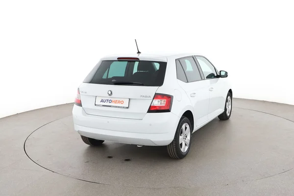 Skoda Fabia (2016) — foto 12 van 16