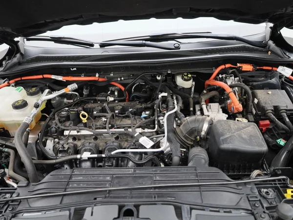 Ford Kuga (2022) — foto 30 van 39