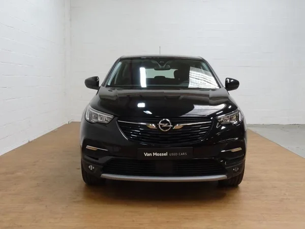 Opel Grandland X (2021) — foto 2 van 21