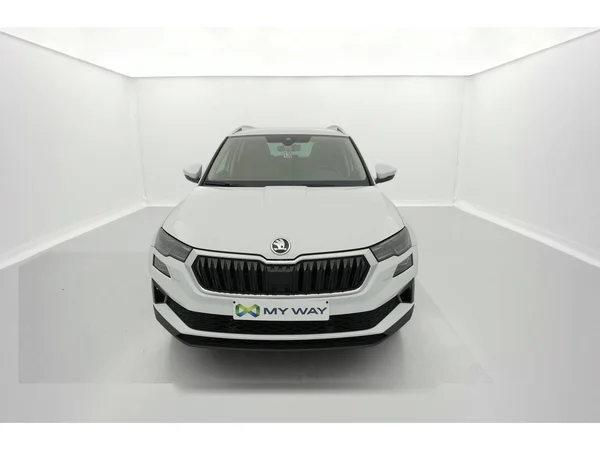 SKODA Karoq (2023) — foto 12 van 36