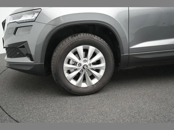 SKODA Karoq (2025) — foto 22 van 22