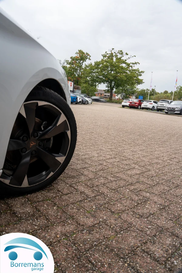 Cupra Leon (2023) — foto 31 van 47