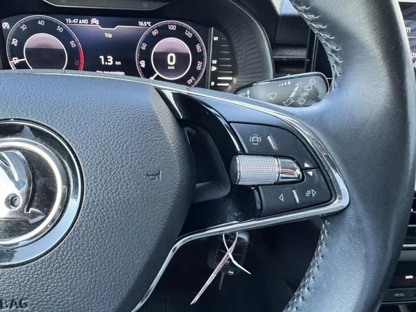 SKODA Kamiq (2020) — foto 10 van 29