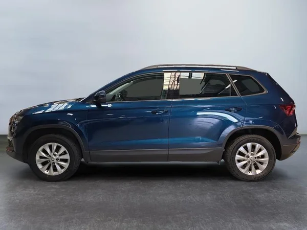 SKODA Karoq (2023) — foto 26 van 31