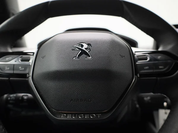Peugeot 2008 (2023) — foto 19 van 40
