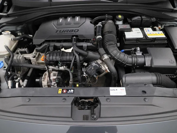 Kia cee'd (2023) — foto 27 van 39
