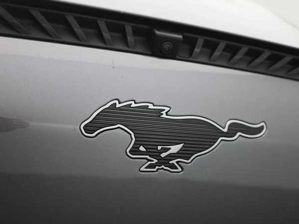 Ford Mustang Mach-E (2021) — foto 36 van 45