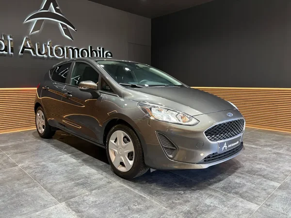 Ford Fiesta (2020) — foto 16 van 22