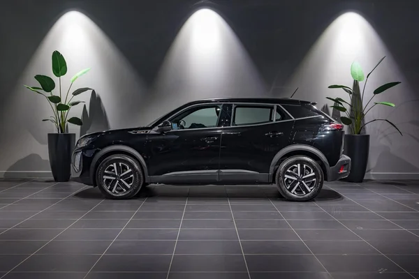 Peugeot 2008 (2025) — foto 28 van 33