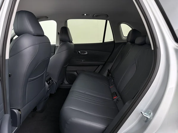GEELY Starray EM-i (2026) — foto 5 van 29
