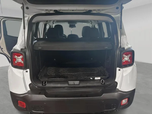 Jeep Renegade (2019) — foto 16 van 18
