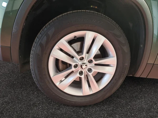 SKODA Kodiaq Dsl (2020) — foto 15 van 23