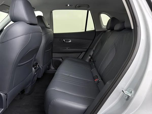 GEELY Starray EM-i (2026) — foto 5 van 29