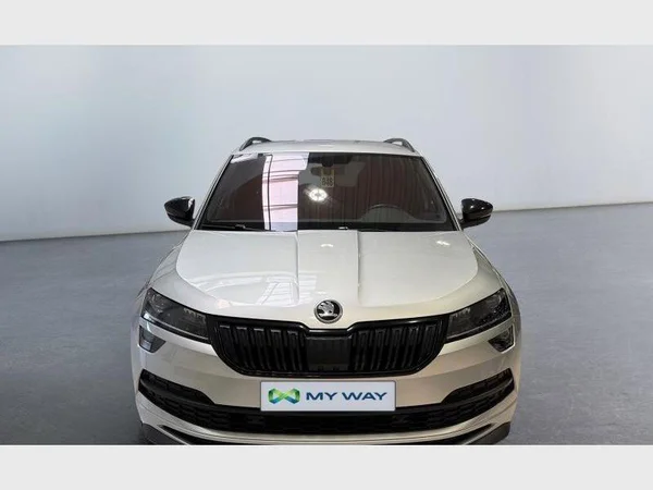 Skoda Karoq (2021) — foto 12 van 31
