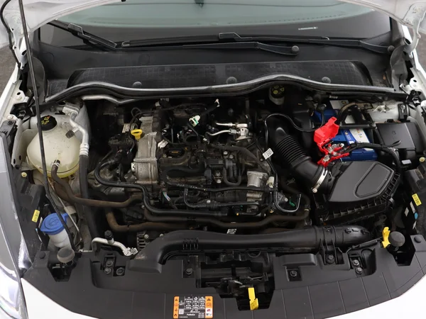 FORD Fiesta (2022) — foto 6 van 28