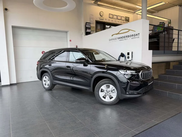 Škoda Kodiaq — foto 1 van 25