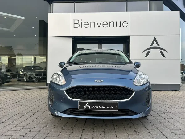 Ford Fiesta (2019) — foto 12 van 21