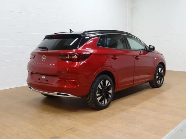 Opel Grandland (2023) — foto 15 van 18
