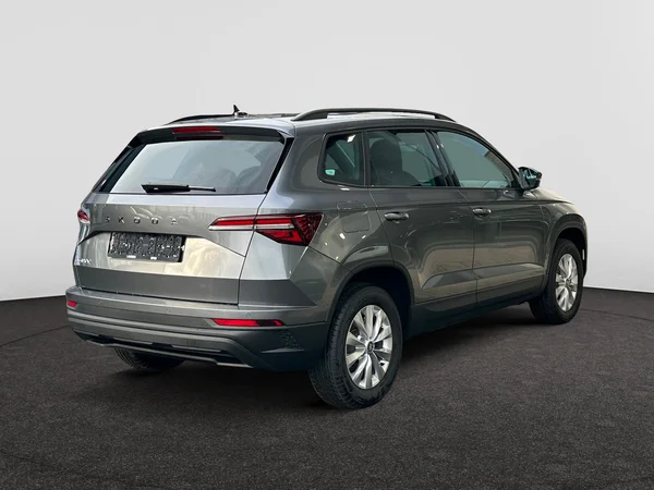 SKODA Karoq (2025) — foto 15 van 20
