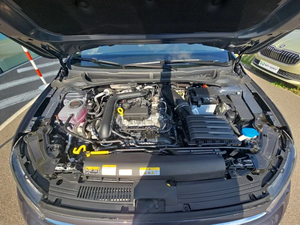 VOLKSWAGEN Polo (2025) — foto 13 van 24