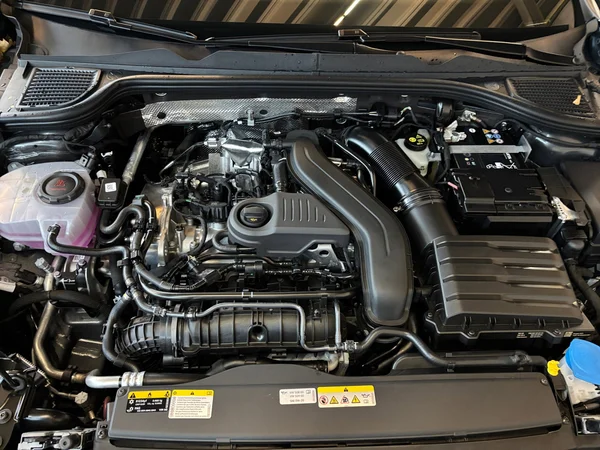 VOLKSWAGEN Golf VIII (2025) — foto 14 van 24