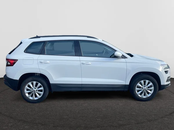 SKODA Karoq (2018) — foto 17 van 21