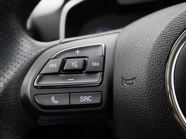 MG ZS EV (2021) — foto 10 van 42