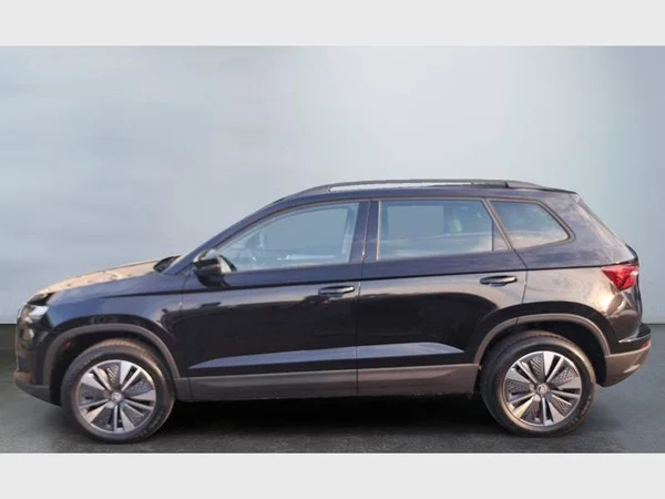 Skoda Karoq (2026) — foto 18 van 24