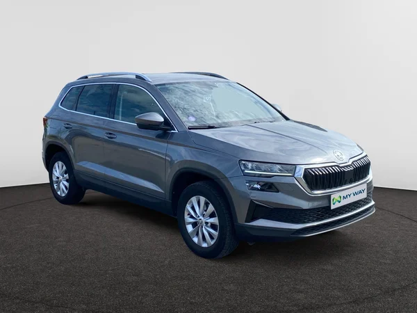 SKODA Karoq (2023) — foto 15 van 17