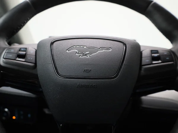 Ford Mustang Mach-E (2021) — foto 31 van 52