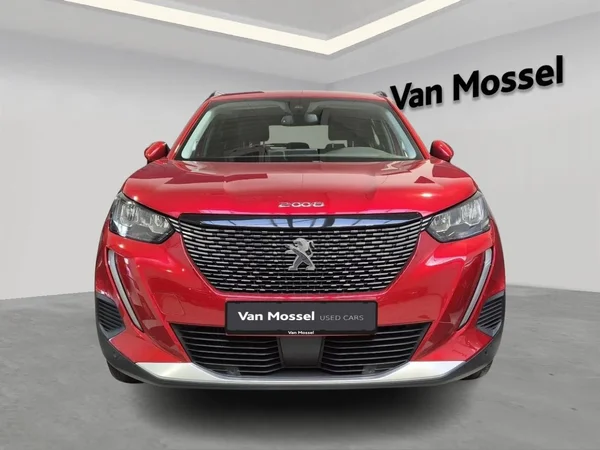 Peugeot 2008 (2020) — foto 10 van 15