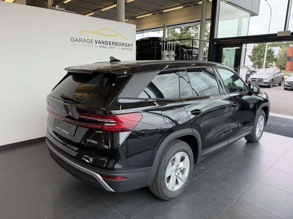 Škoda Kodiaq — foto 20 van 25