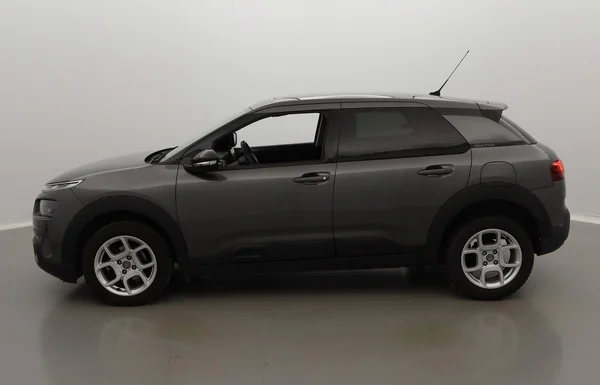 Citroen C4 Cactus (2018) — foto 12 van 31