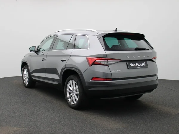 Škoda Kodiaq (2023) — foto 12 van 48