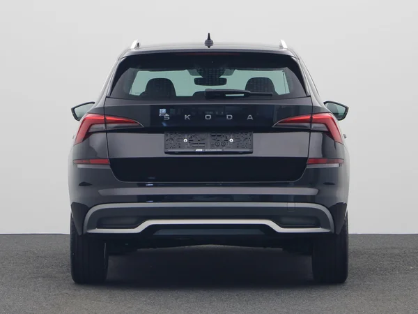 SKODA Kamiq (2020) — foto 16 van 20
