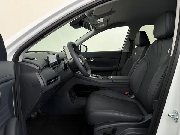 GEELY Starray EM-i (2026) — foto 2 van 29