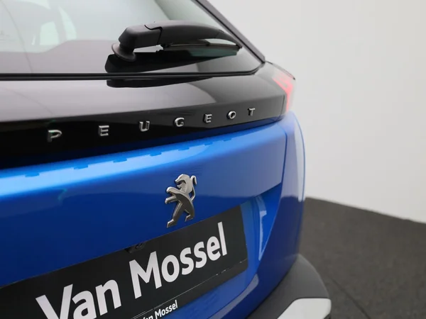 Peugeot 3008 (2022) — foto 29 van 38