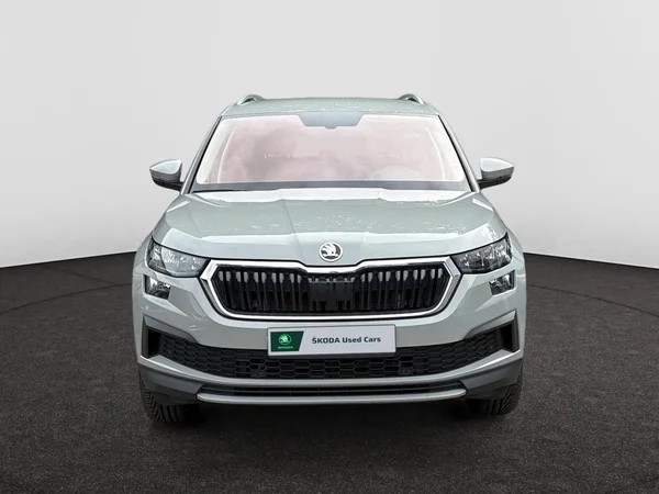 SKODA Kodiaq (2023) — foto 18 van 21
