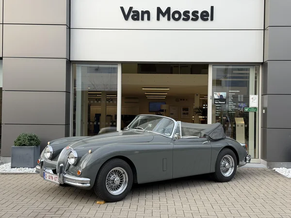 Jaguar XK (1960) — foto 13 van 21