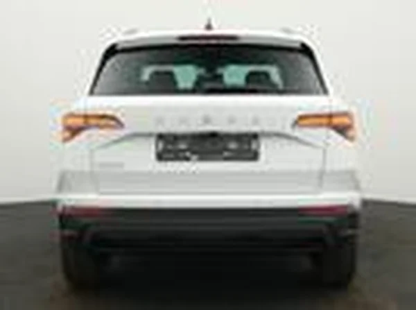 SKODA Karoq (2026) — foto 18 van 18