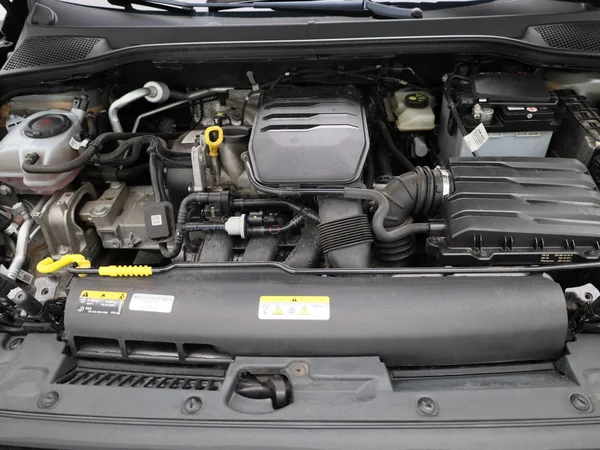 SEAT Ibiza (2023) — foto 24 van 39