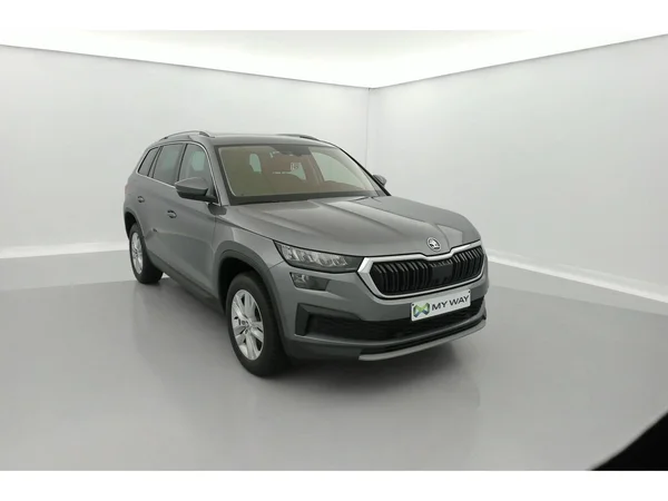 SKODA Kodiaq (2022) — foto 23 van 36