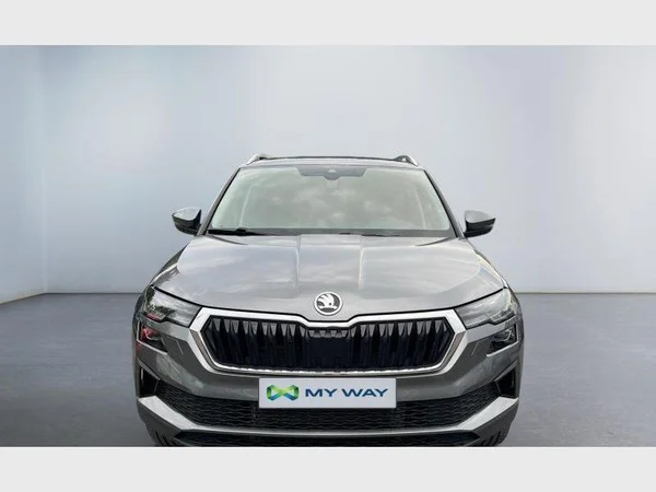 Skoda Karoq (2022) — foto 12 van 30