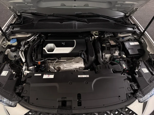 DS AUTOMOBILES DS 4 (2022) — foto 6 van 31