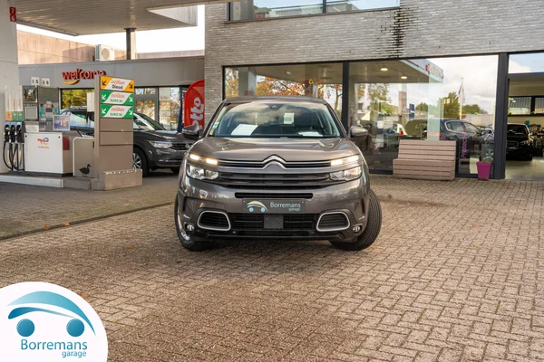 Citroen C5-AIRCROSS (2019) — foto 31 van 36