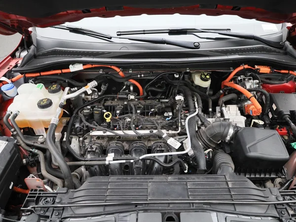Ford Kuga (2022) — foto 29 van 38
