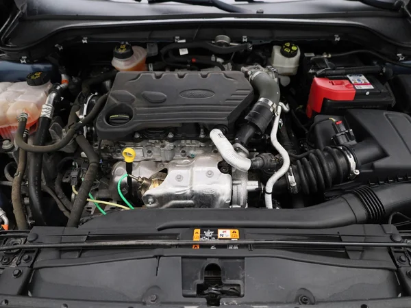 Ford Focus (2021) — foto 26 van 38