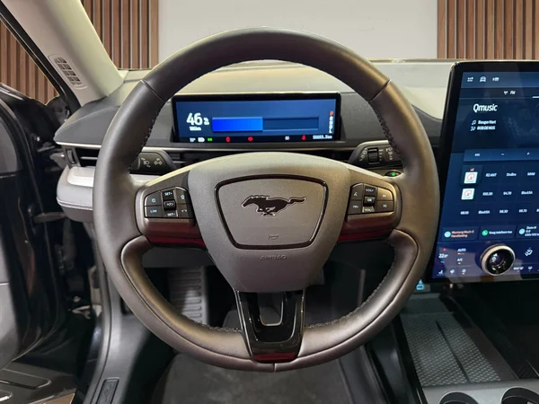 Ford Mustang-Mach-E (2021) — foto 6 van 29